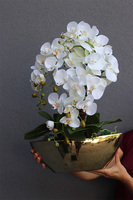 Złota Dolina, sztuczny storczyk w donicy łódce, wys.60m