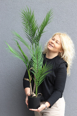 Palma Carmen 2, sztuczna roślina w doniczce, wys.97cm