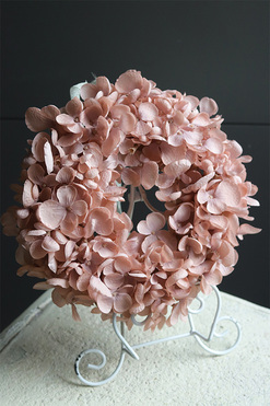 Leossi Cappuccino, dekoracyjny wianek z hortensji, śr.25cm