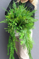 Belita Sukulenty Saute, zielona dekoracja do twojej donicy