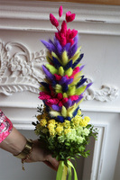 Tęczowy susz, palemka wielkanocna