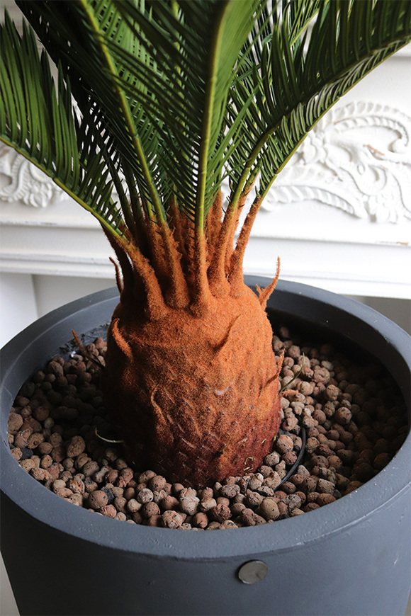 Cykas Concrete, sztuczna roślina w betonowej donicy