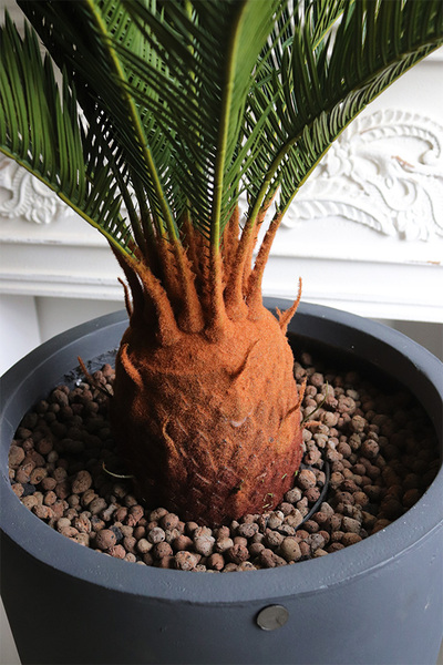 Cykas Concrete, sztuczna roślina w betonowej donicy