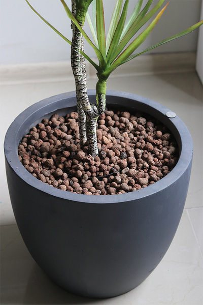 Dracena Concrete, sztuczne drzewko w betonowej donicy