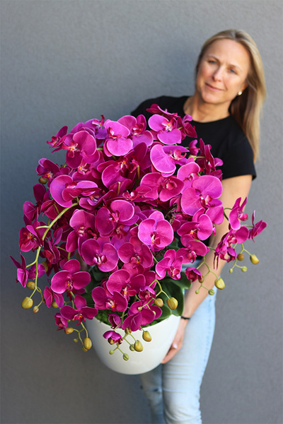 Mediolan Round Fuksja w białej donicy