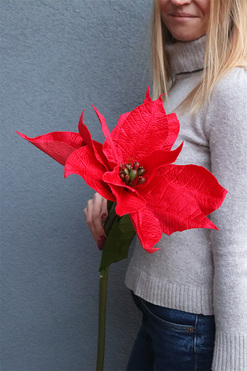 Czerwona Gwiazda Betlejemska, świąteczny kwiat poinsecji, wys.115cm