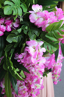 Selia Wisteria, kwiatowa kompozycja w wiszącej metalowej donicy