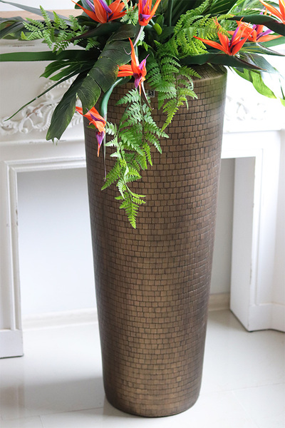 Strelicja Hilton Balleti, egzotyczna kompozycja