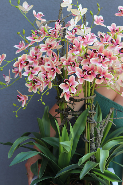 Fiberglass Cherie, gumowy storczyk w białej donicy