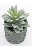 Haworthia, sztuczna roślina w ozdobnej osłonce, wym.16x12x12cm