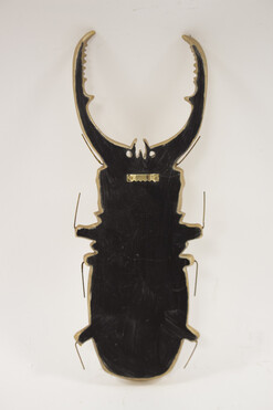 Beetle A, dekoracja ścienna chrząszcz, wym.36.5x14x4.5cm
