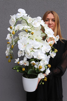 White House Mediolan, sztuczny storczyk w donicy