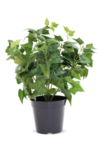 Bluszcz, sztuczna roślina w osłonce / donicy, wym.39x31x31cm