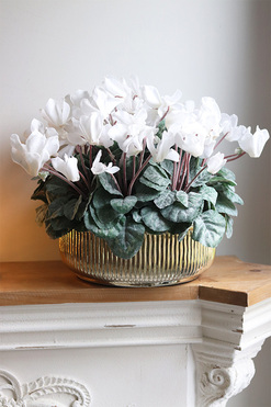 Szronione Cyklameny, elegancka zimowa kompozycja, wym.37x43cm   