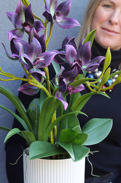 Jenny Purple, gumowy storczyk w donicy, wys.65cm