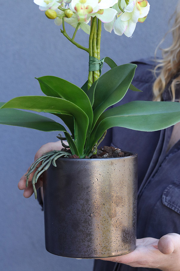 Figaro Modern, sztuczny storczyk w ozdobnej donicy