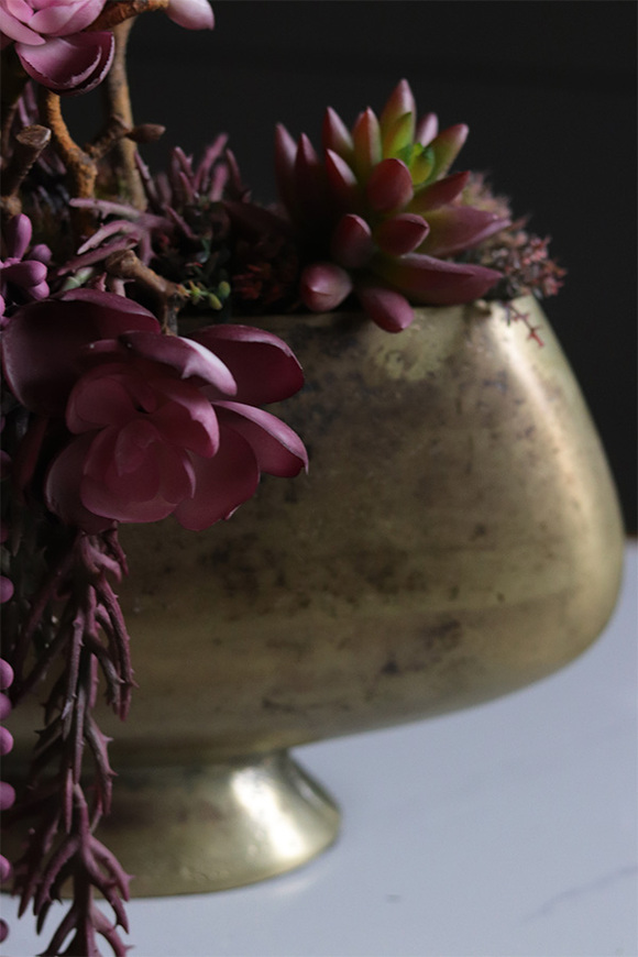 Olivina Kristi, kompozycja sukulenty w złotym pucharze