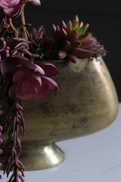 Olivina Kristi, kompozycja sukulenty w złotym pucharze