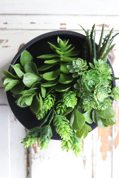 Designerio B, kompozycja sukulenty w czarnej donicy wiszącej, wym.13x21cm