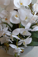 biały storczyk w wazie porcelanowej, Vaseno, wys.64cm