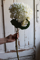 gałązka / sztuczna Hortensja Exclusive, biały, dł.75cm,1szt 