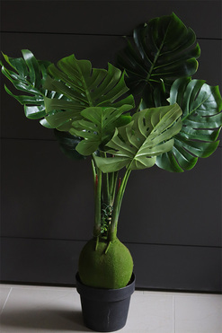 Monstera Neliuta, sztuczne drzewko w doniczce, wys.110cm 