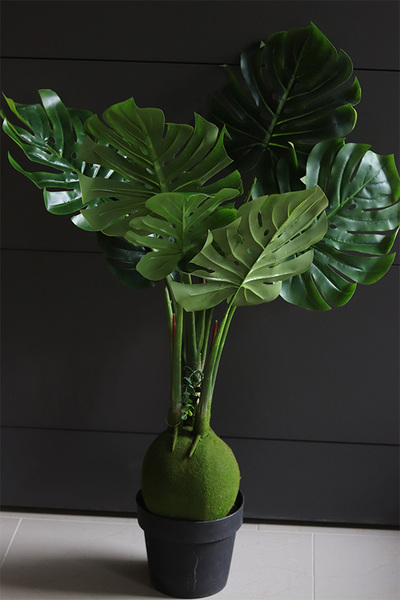 Monstera Neliuta, sztuczne drzewko w doniczce