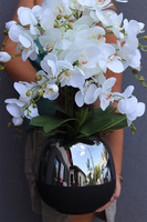 Patras, storczyk w szklanym naczyniu