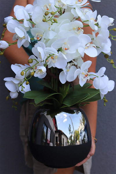 Patras, storczyk w szklanym naczyniu