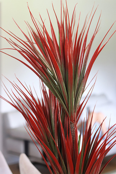 Dracena Black&Gold, sztuczna roślina w doniczce