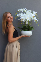 Inez White Piano, storczyk w białej donicy