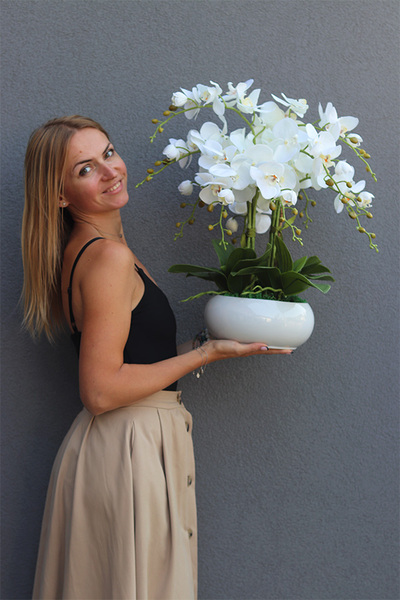 Inez White Piano, storczyk w białej donicy