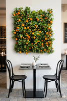 Olimpia Pomarańcze, zielona ścianka roślinna z owocami