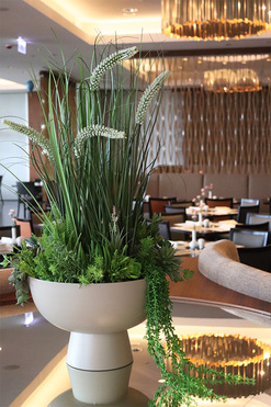 Verde Hotels, kompozycja z trawami kwitnącymi w beżowym pucharze, wys.92cm