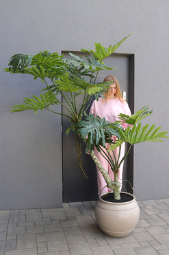 Filodendron Premium, drzewko sztuczne w donicy, wys.185cm