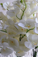 Helissa Lucky, gumowy storczyk w lustrzanej donicy z podstawką