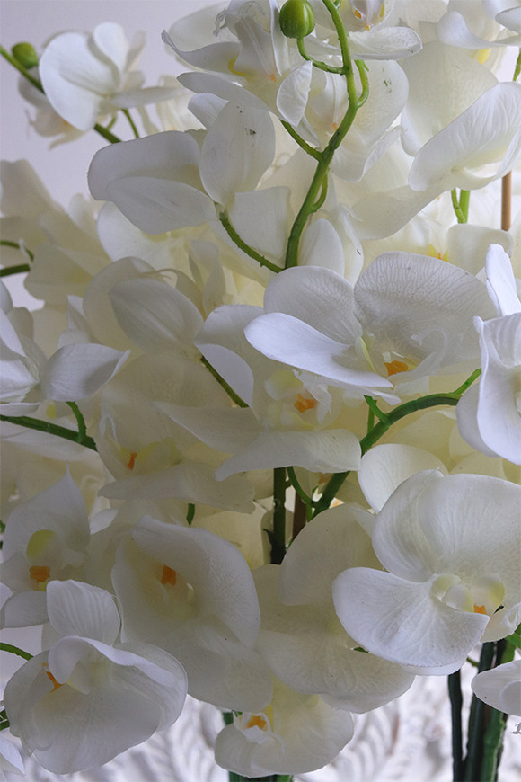 Helissa Lucky, gumowy storczyk w lustrzanej donicy z podstawką