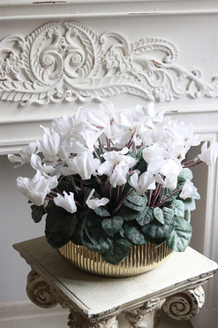 Szronione Cyklameny, elegancka zimowa kompozycja, wym.37x43cm   