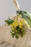 Sunmi, koszyczek wielkanocny