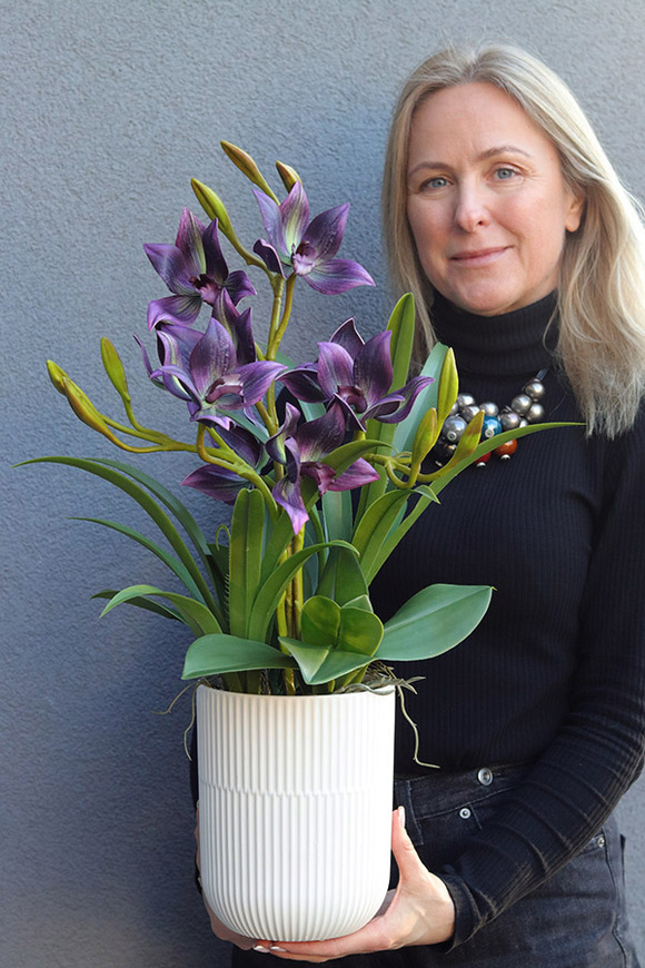 Jenny Purple, gumowy storczyk w donicy