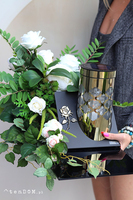 Solaria, dekoracja nagrobna na pleksji z lampionem