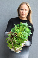 Hefrasa Boho Basket, kosz ceramiczny z sukulentami