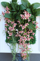 jednostronna rama dekoracyjna, Thai Hotels Cherry