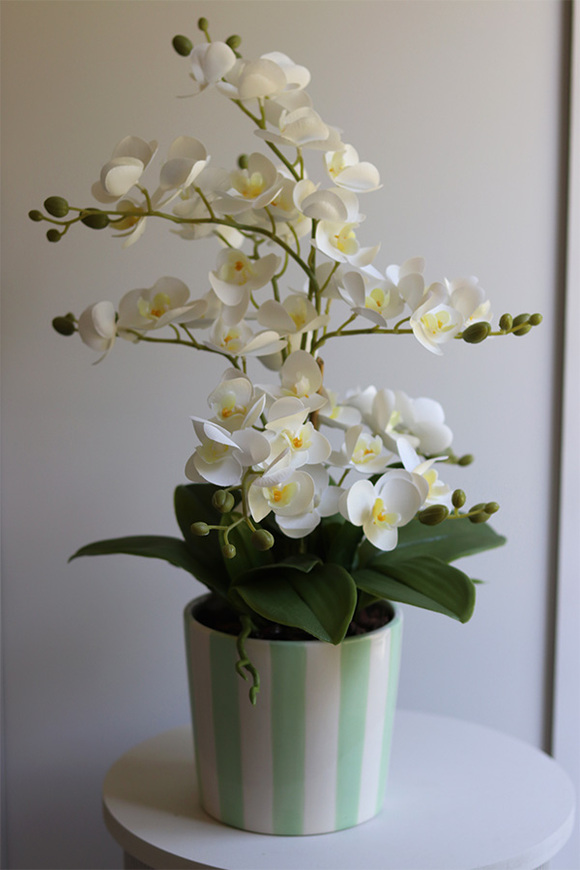 Mint&White, gumowy storczyk w pasiastej doniczce