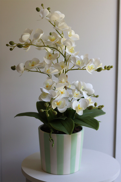 Mint&White, gumowy storczyk w pasiastej doniczce