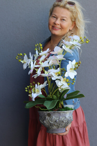 Eulalia, biały storczyk w fioletowej donicy