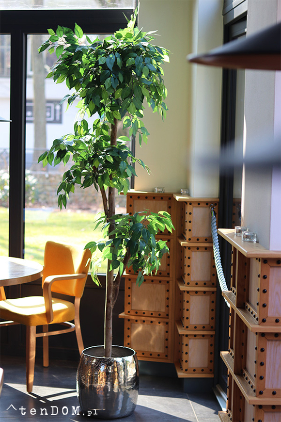 Fikus Benjamin H Deluxe, sztuczna roślina w doniczce