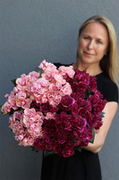 Begonie, kompozycja w terakotowej misie, wym.28x40cm