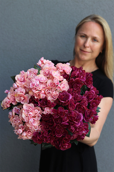 Begonie, kompozycja w terakotowej misie, wym.28x40cm