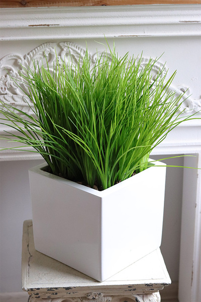 Fiberglass White, sztuczne trawy w eleganckiej donicy